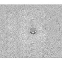 Neodymium Disc Magnets